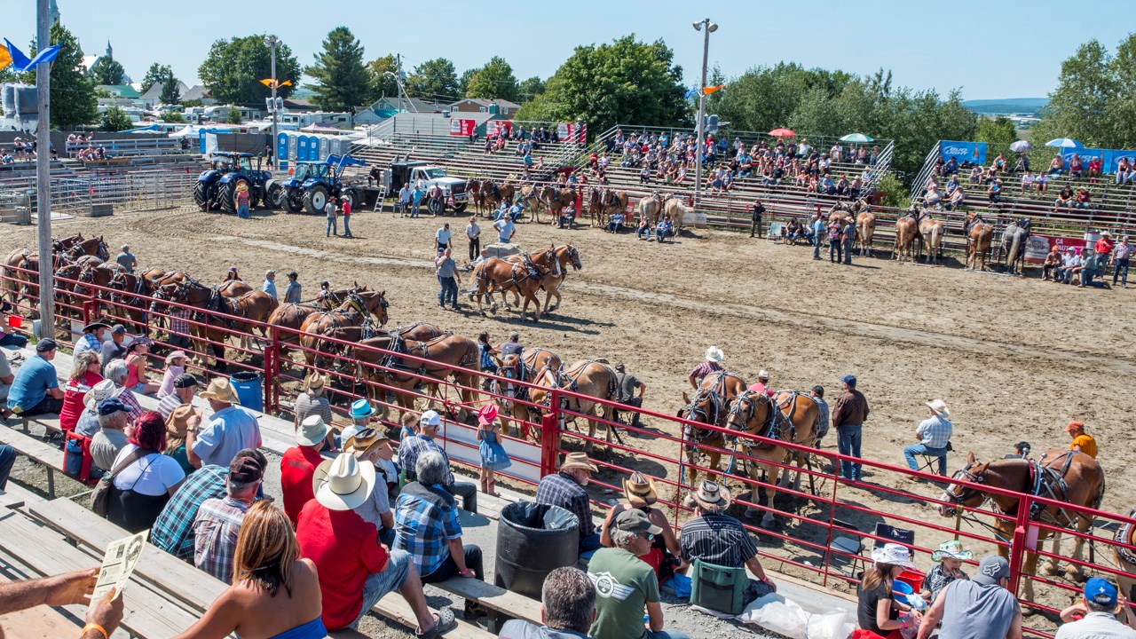 Un achalandage record aux Festivités Western de St-Victor, où Kaïn jouera ce soir