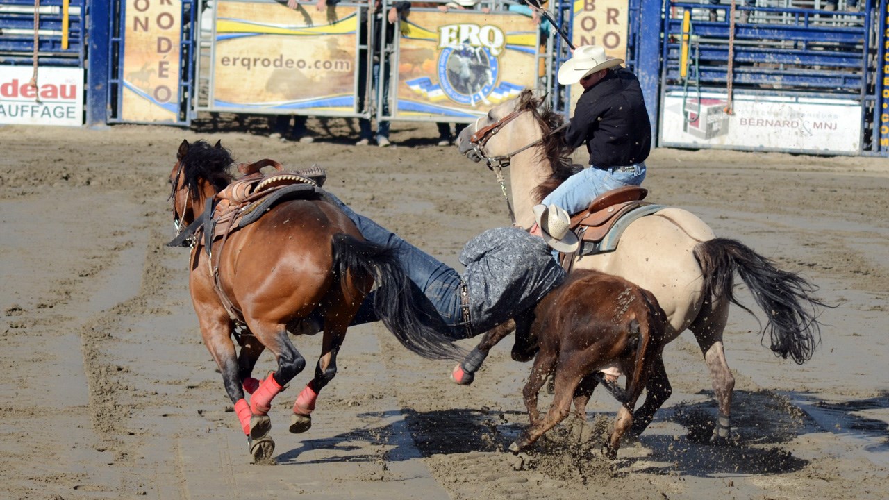 Des estrades pleines pour la finale du rodéo des Festivités western de Saint-Victor