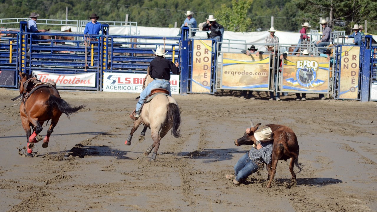 Des estrades pleines pour la finale du rodéo des Festivités western de Saint-Victor