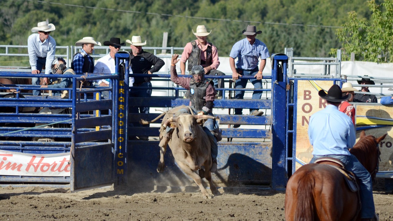 Des estrades pleines pour la finale du rodéo des Festivités western de Saint-Victor