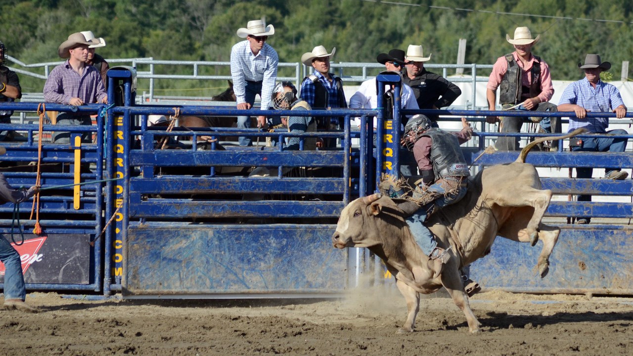 Des estrades pleines pour la finale du rodéo des Festivités western de Saint-Victor