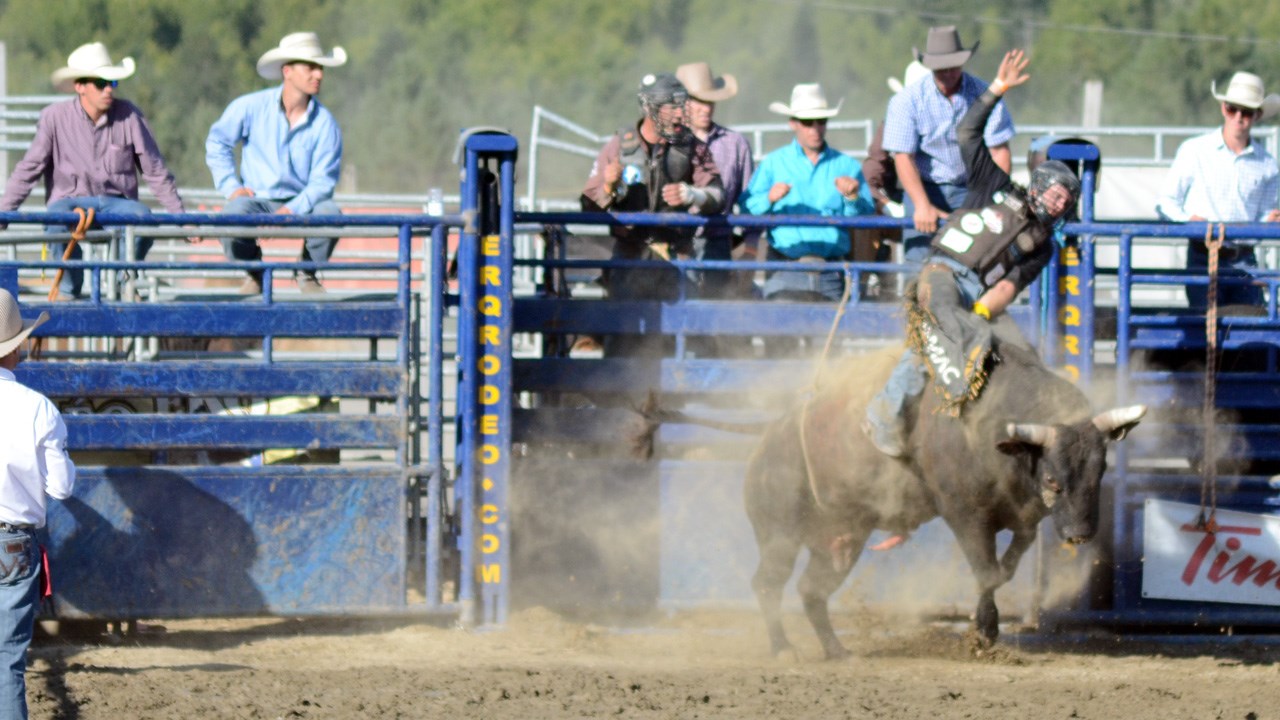Des estrades pleines pour la finale du rodéo des Festivités western de Saint-Victor