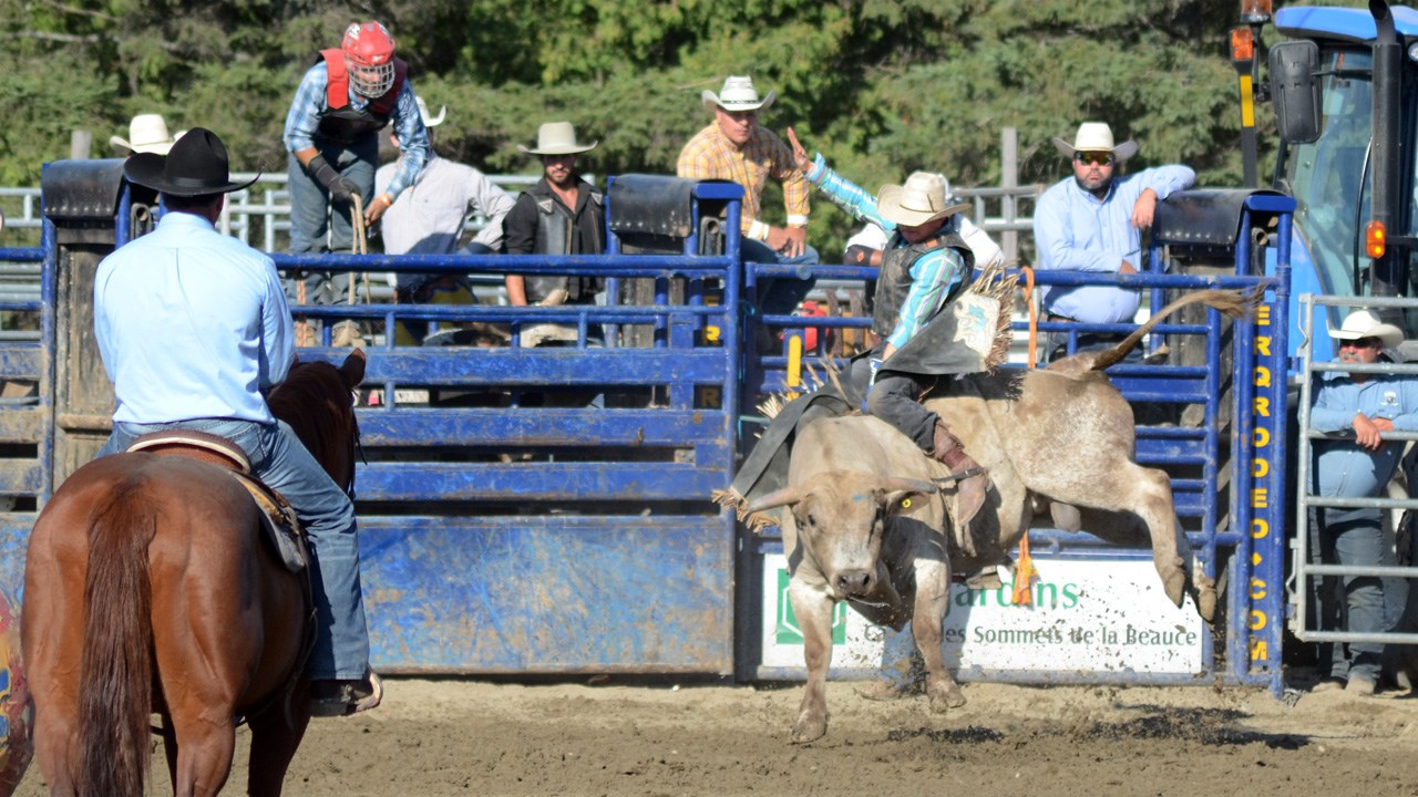 Des estrades pleines pour la finale du rodéo des Festivités western de Saint-Victor