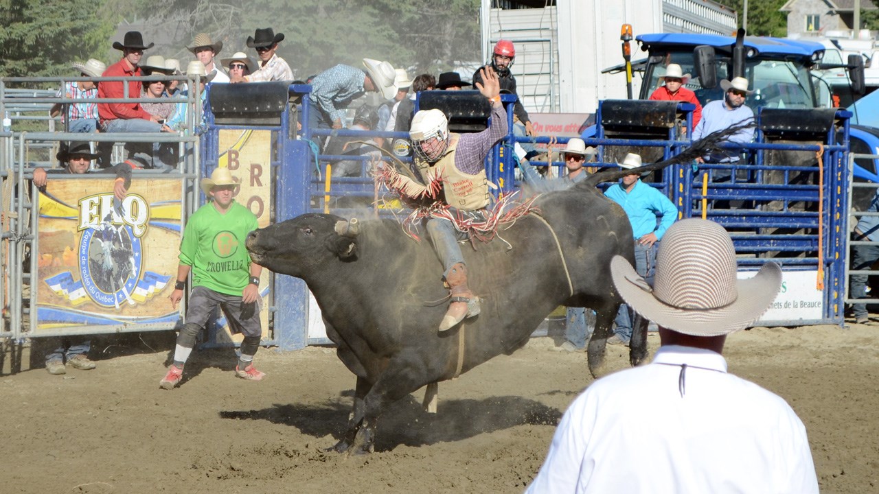 Des estrades pleines pour la finale du rodéo des Festivités western de Saint-Victor
