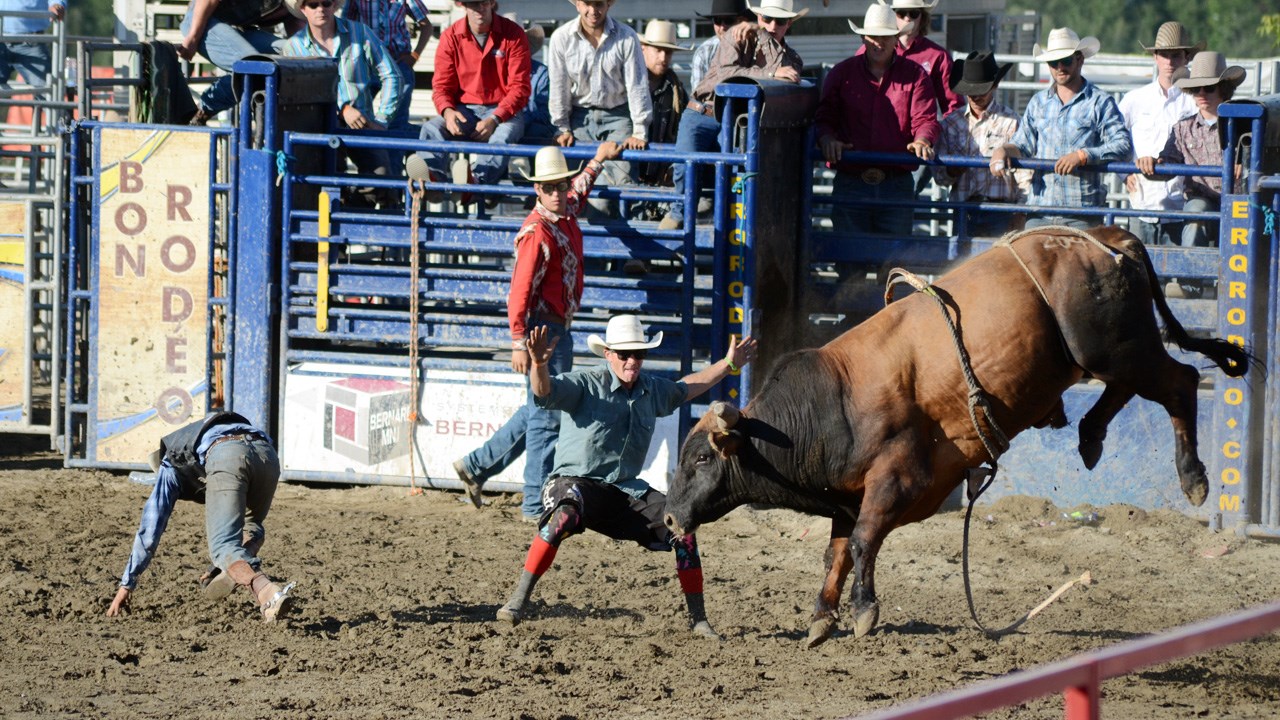 Des estrades pleines pour la finale du rodéo des Festivités western de Saint-Victor
