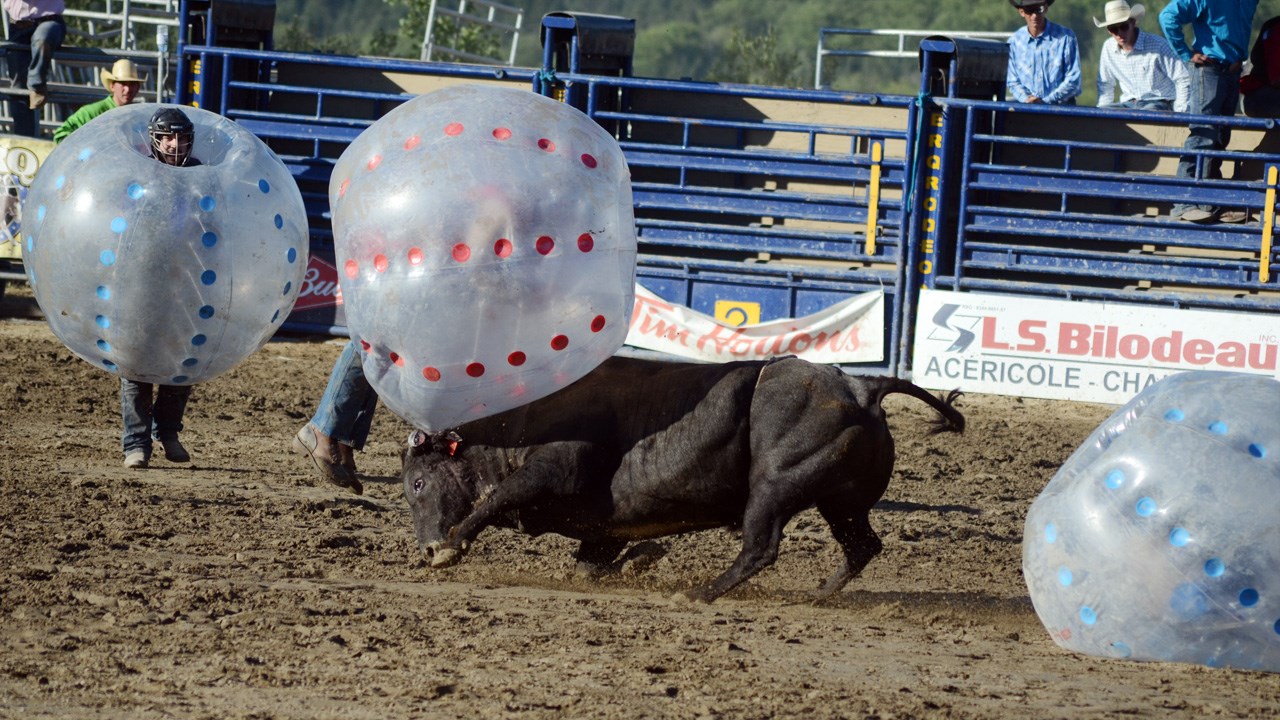 Des estrades pleines pour la finale du rodéo des Festivités western de Saint-Victor