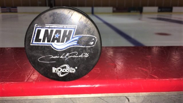Il y a quelques semaines, la Ligue nord-américaine de hockey (LNAH) tenait son repêchage annuel à Sorel-Tracy et le Cool FM de Saint-Georges a profité de l’occasion pour ajouter huit nouveaux noms à sa liste pour les années à venir.
