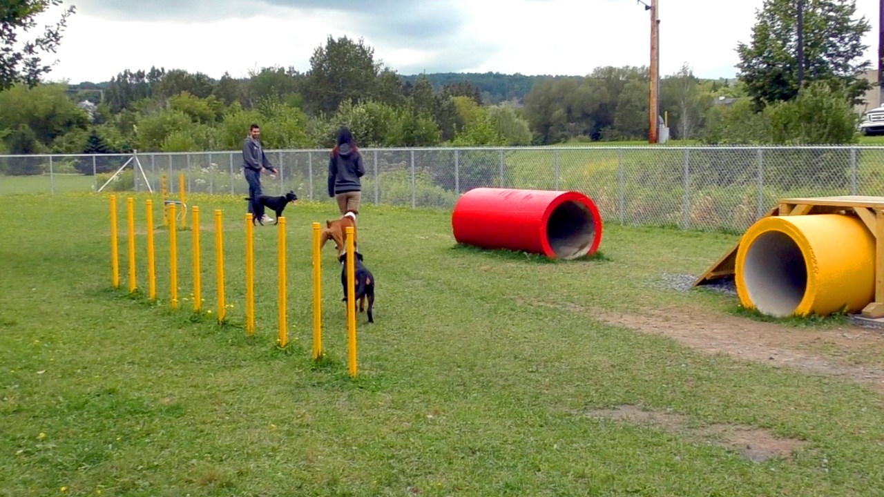 Normand DeLessard présente des images du parc canin de Saint-Georges