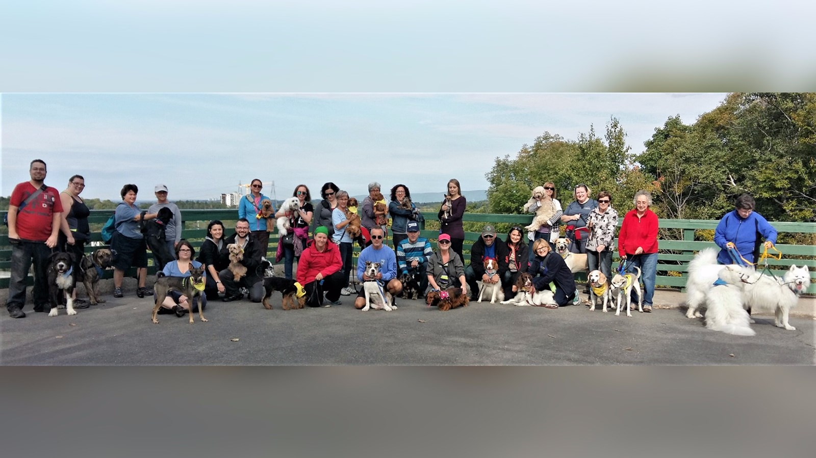 Une édition précédente de la marche canine au profit de la SPA Beauce-Etchemin.
