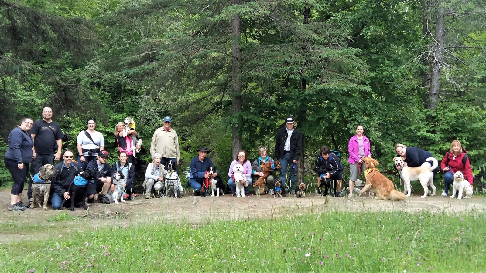 Une édition précédente de la marche canine au profit de la SPA Beauce-Etchemin.