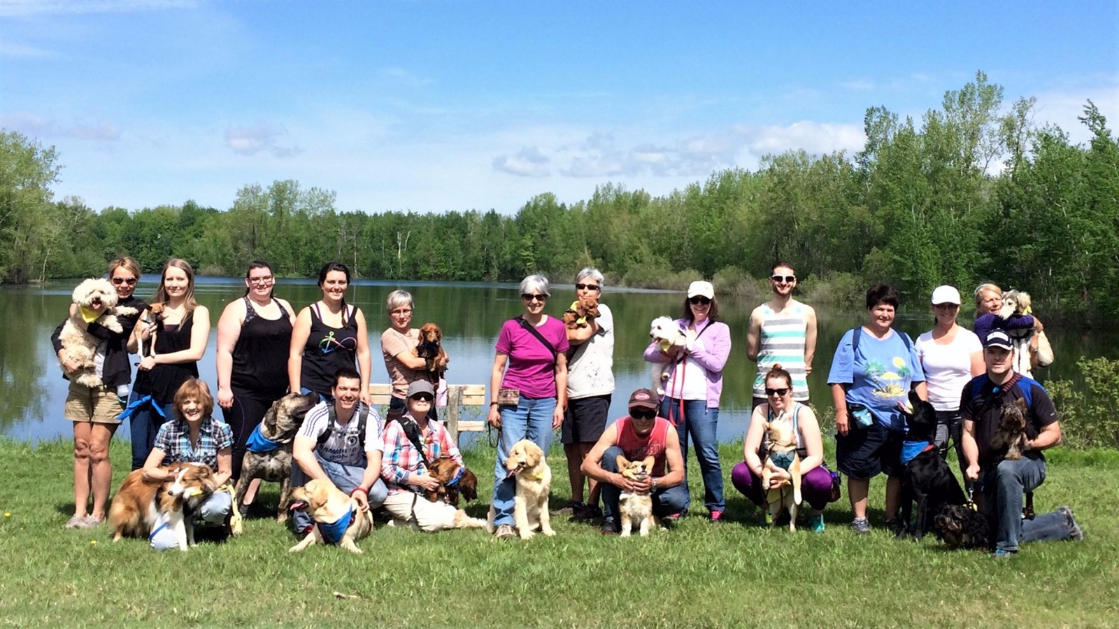 Une édition précédente de la marche canine au profit de la SPA Beauce-Etchemin.