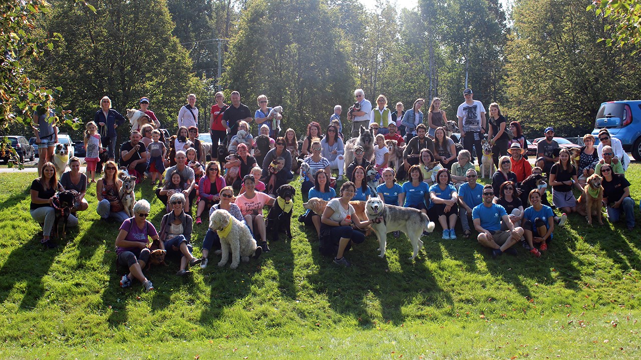 Marche canine Globalvet au profit de la SPA