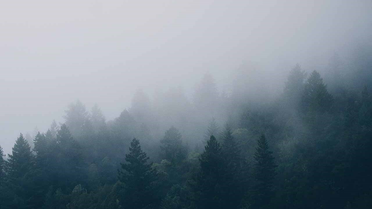 Avertissement de smog en vigueur pour la Beauce et les Etchemins