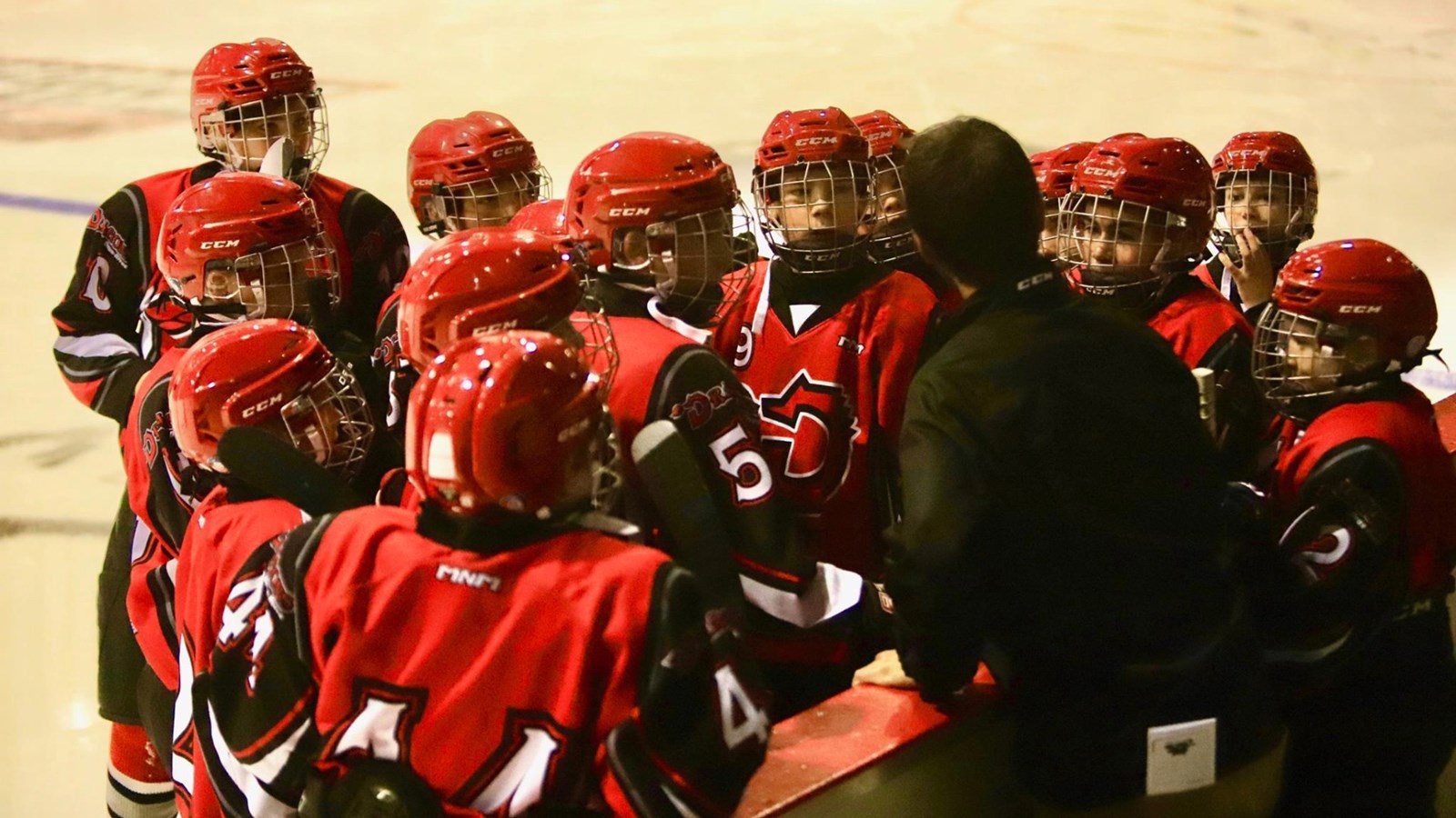 Les Dragons benjamins.