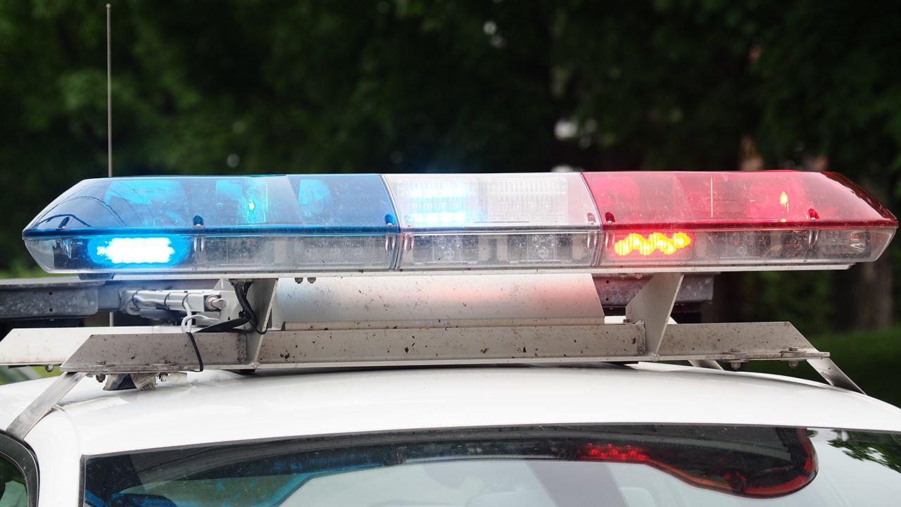 Permis de chasse : opération conjointe de la SQ dans Bellechasse et Montmagny