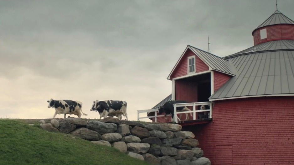 Capture d'écran d'une publicité d'Agropur de 2017