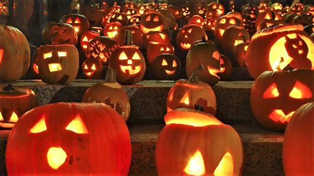 Cueillette de bonbons de Halloween : la sécurité d'abord