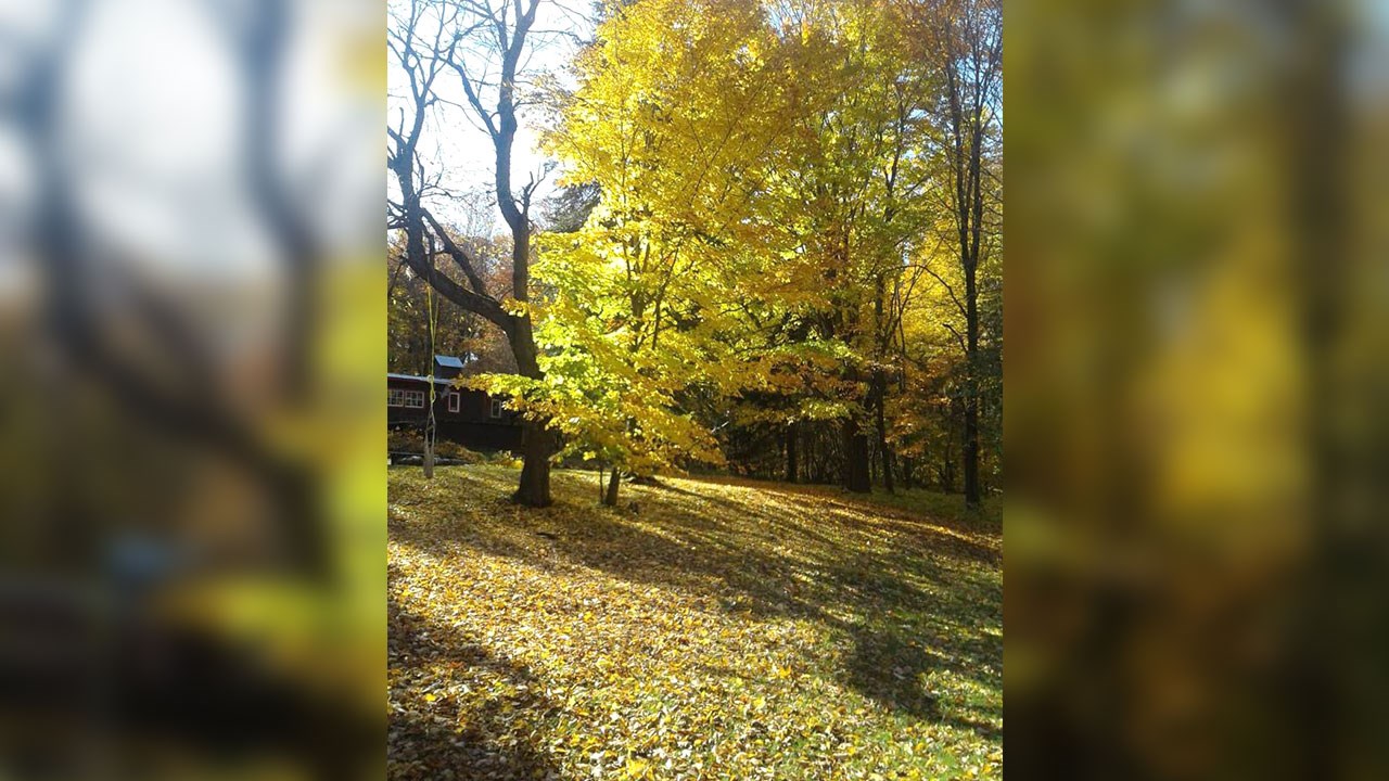 Immortaliser les beautés de l'automne : les photos de nos lecteurs
