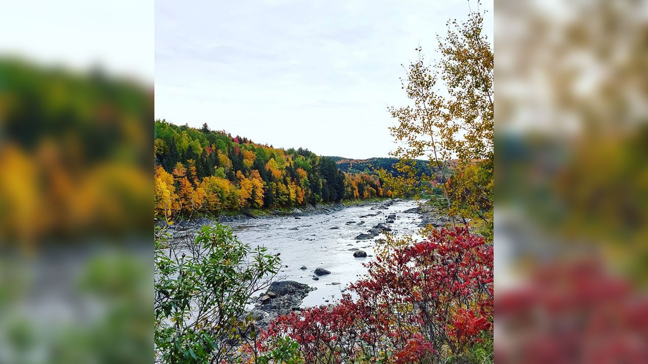 Immortaliser les beautés de l'automne : les photos de nos lecteurs