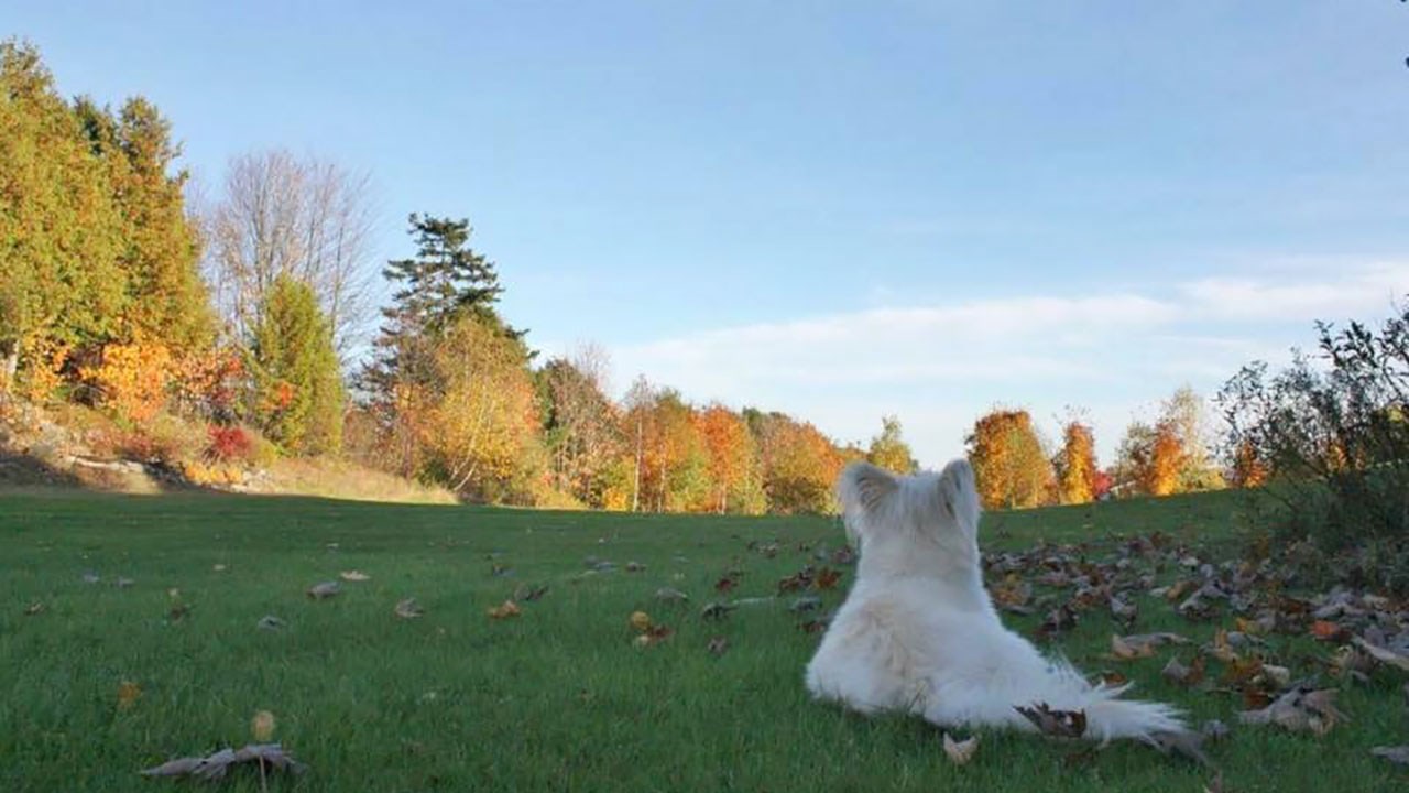 Immortaliser les beautés de l'automne : les photos de nos lecteurs