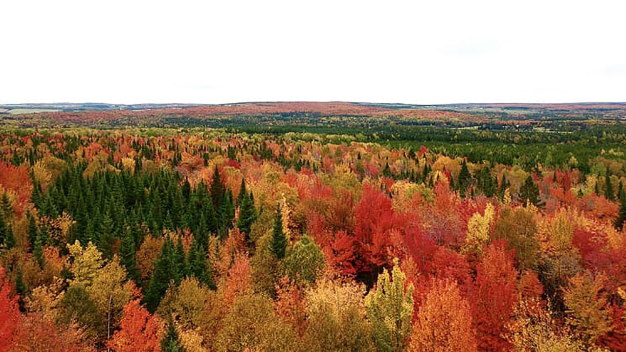 Immortaliser les beautés de l'automne : les photos de nos lecteurs