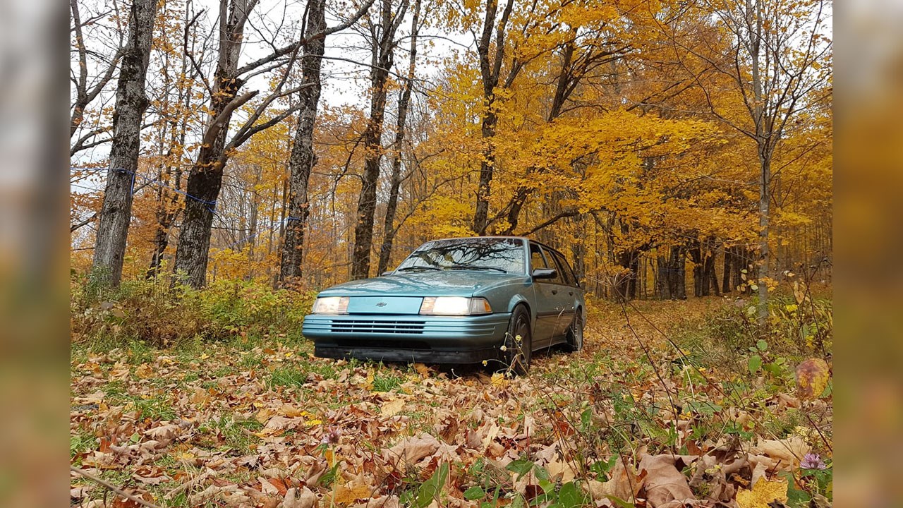Immortaliser les beautés de l'automne : les photos de nos lecteurs