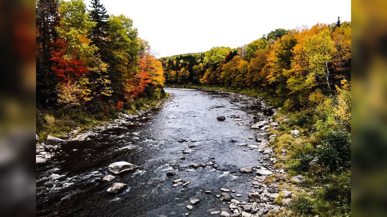 Immortaliser les beautés de l'automne : les photos de nos lecteurs