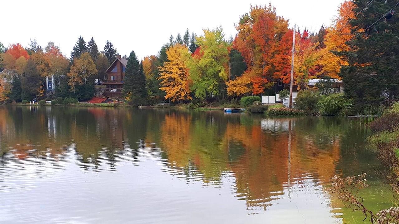 Immortaliser les beautés de l'automne : les photos de nos lecteurs