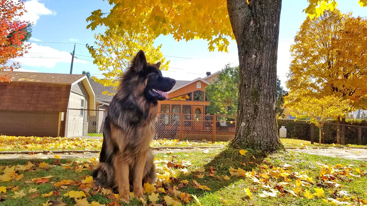 Immortaliser les beautés de l'automne : les photos de nos lecteurs