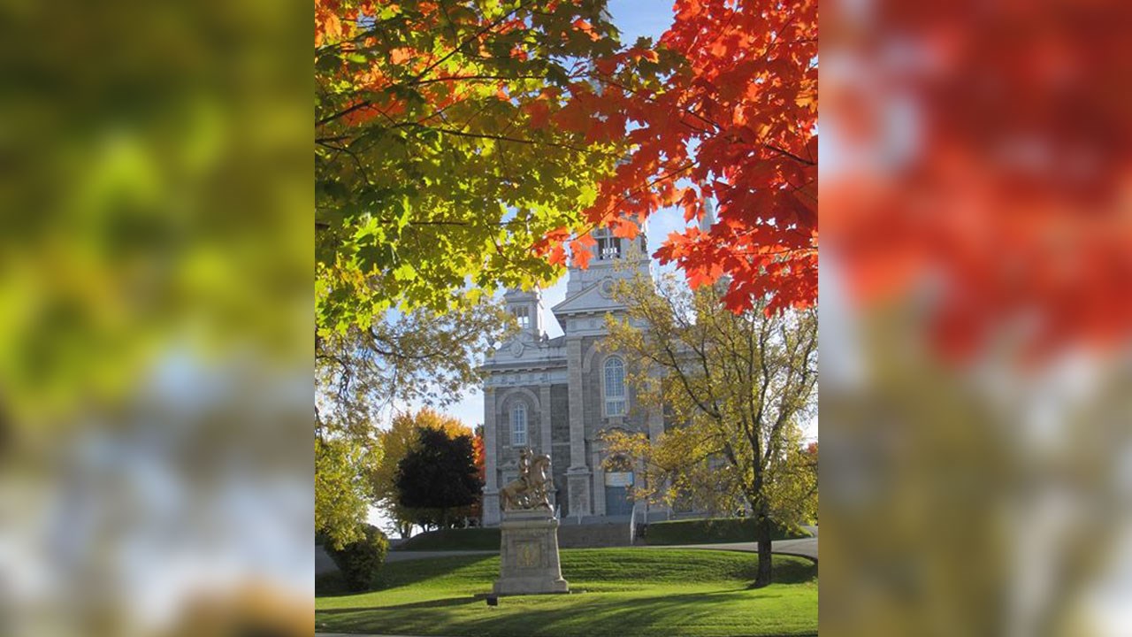 Immortaliser les beautés de l'automne : les photos de nos lecteurs