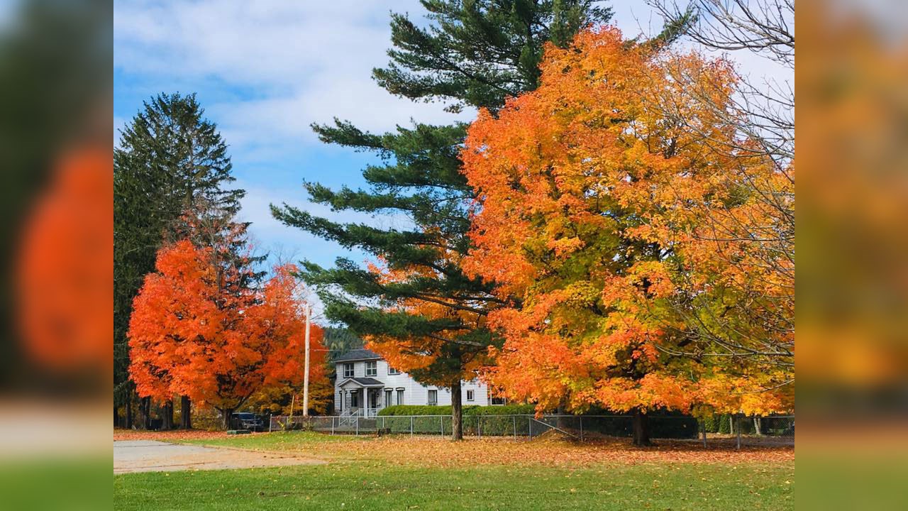 Immortaliser les beautés de l'automne : les photos de nos lecteurs