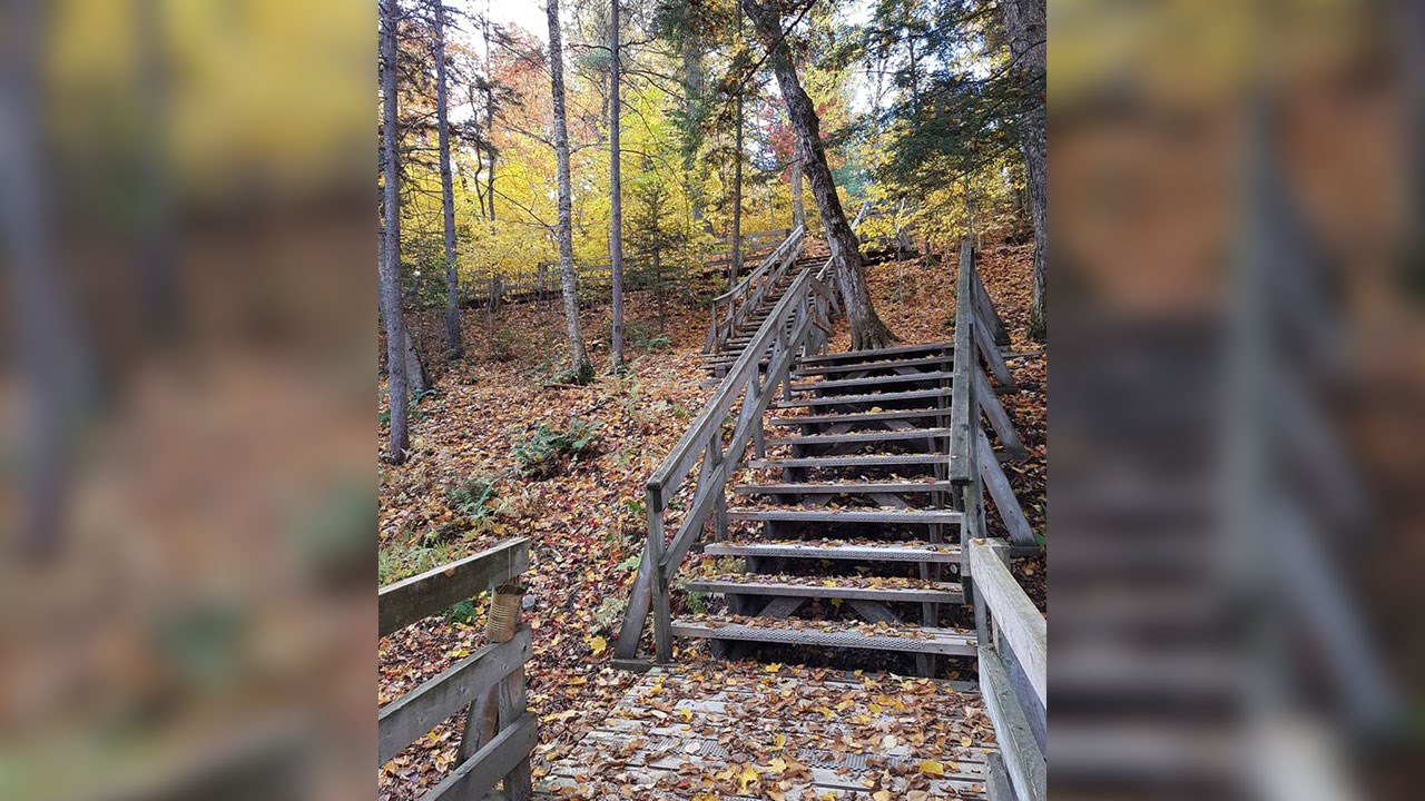 Immortaliser les beautés de l'automne : les photos de nos lecteurs