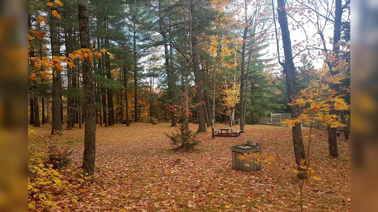 Immortaliser les beautés de l'automne : les photos de nos lecteurs