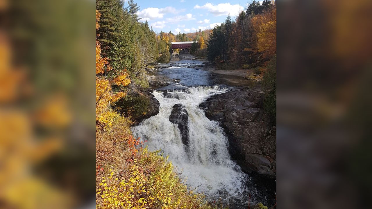 Immortaliser les beautés de l'automne : les photos de nos lecteurs