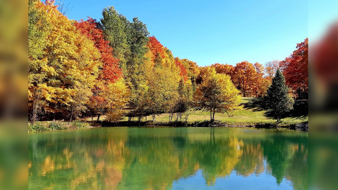 Immortaliser les beautés de l'automne : les photos de nos lecteurs