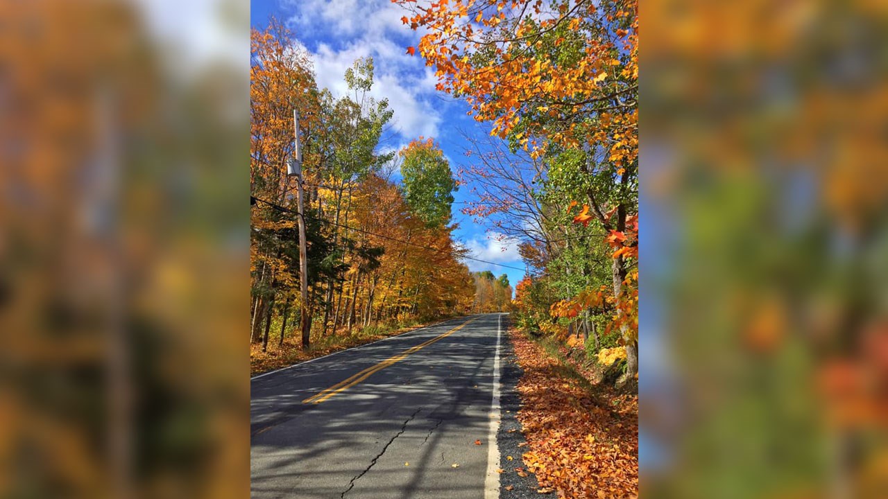 Immortaliser les beautés de l'automne : les photos de nos lecteurs