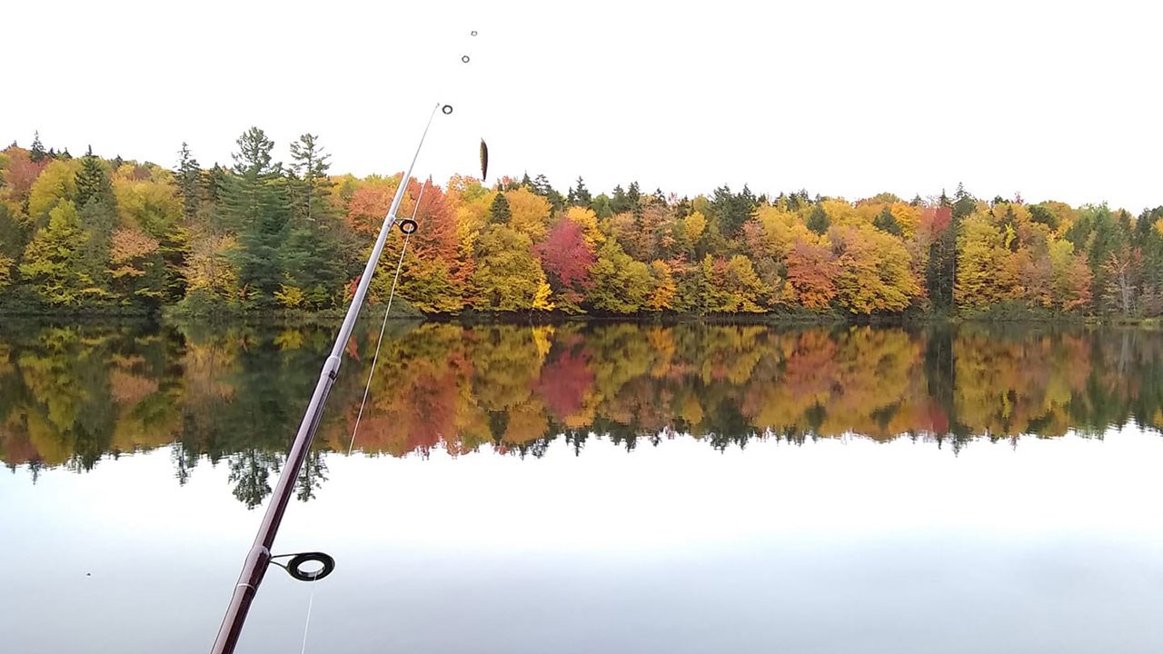 Immortaliser les beautés de l'automne : les photos de nos lecteurs