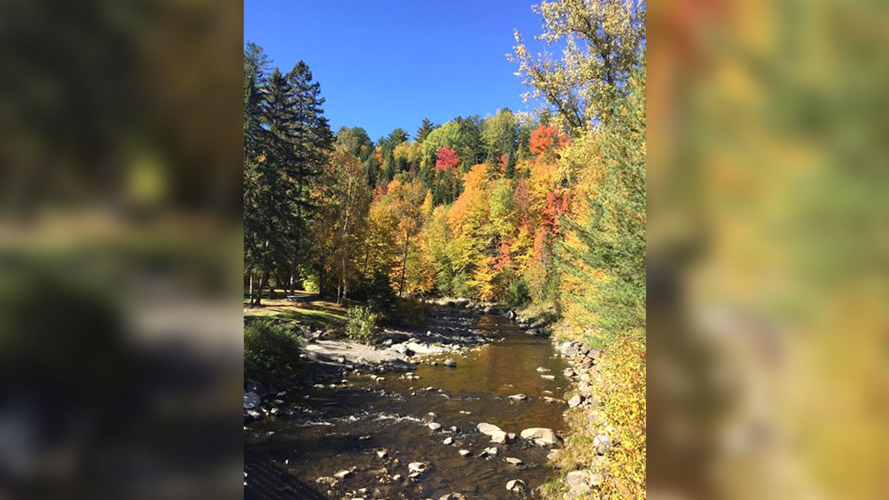 Immortaliser les beautés de l'automne : les photos de nos lecteurs