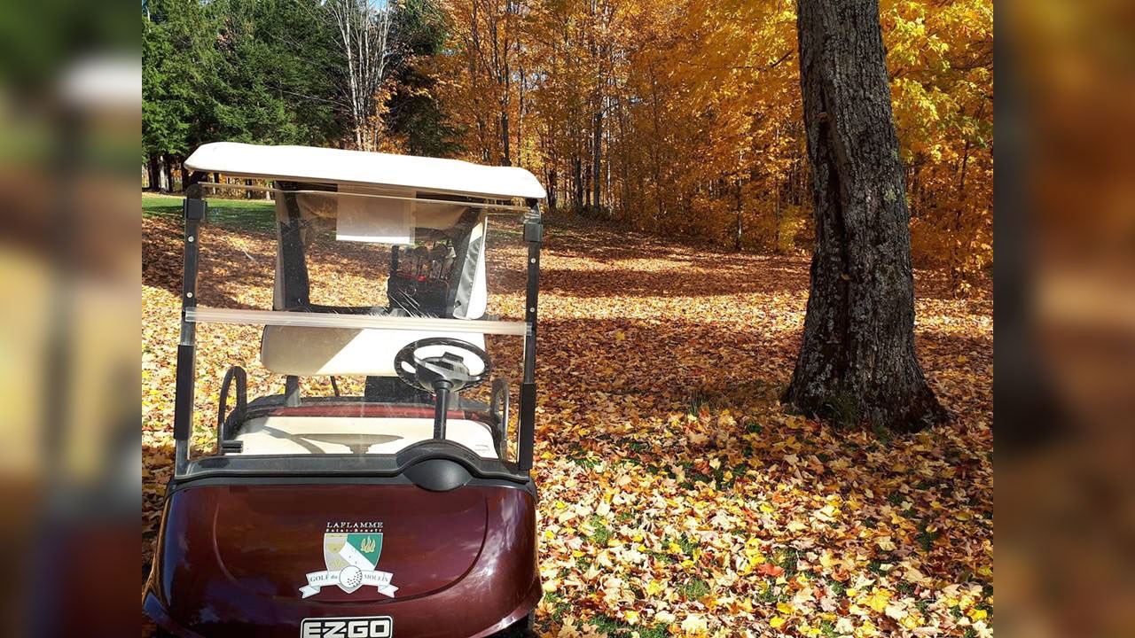 Immortaliser les beautés de l'automne : les photos de nos lecteurs