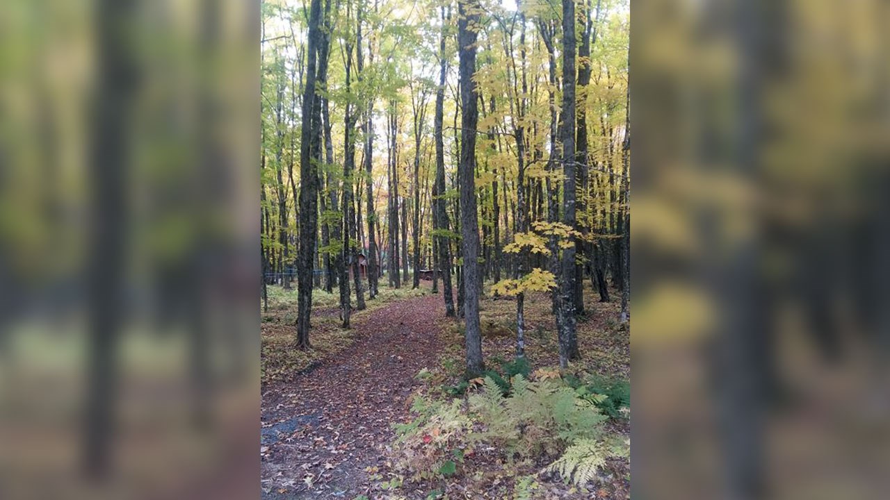 Immortaliser les beautés de l'automne : les photos de nos lecteurs