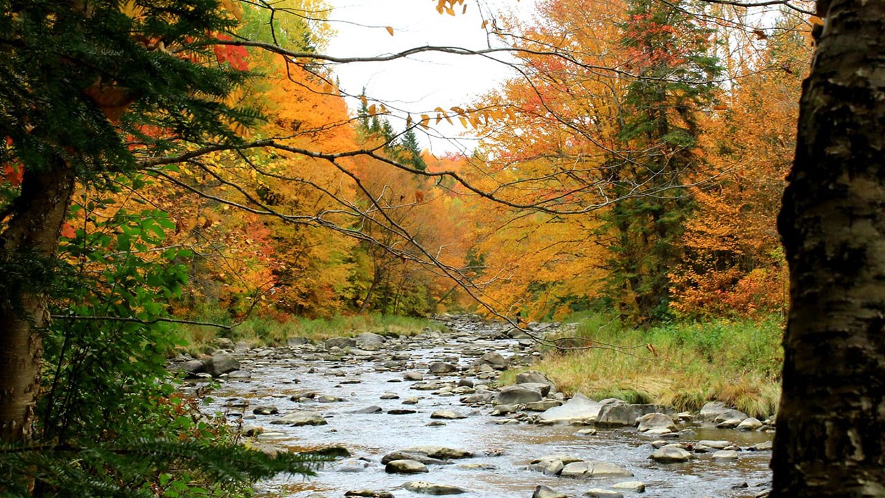 Immortaliser les beautés de l'automne : les photos de nos lecteurs