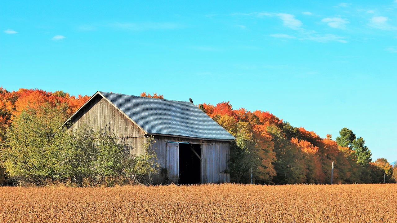 Immortaliser les beautés de l'automne : les photos de nos lecteurs