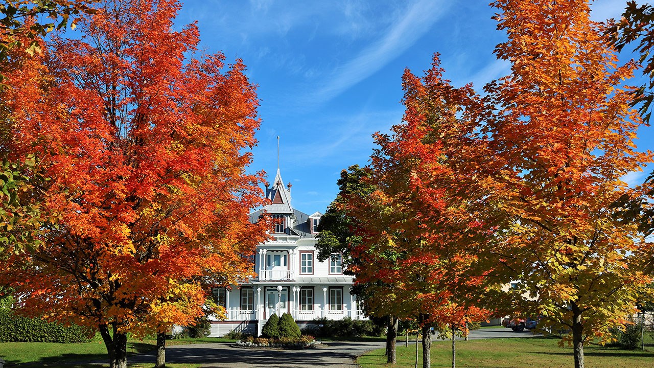 Immortaliser les beautés de l'automne : les photos de nos lecteurs