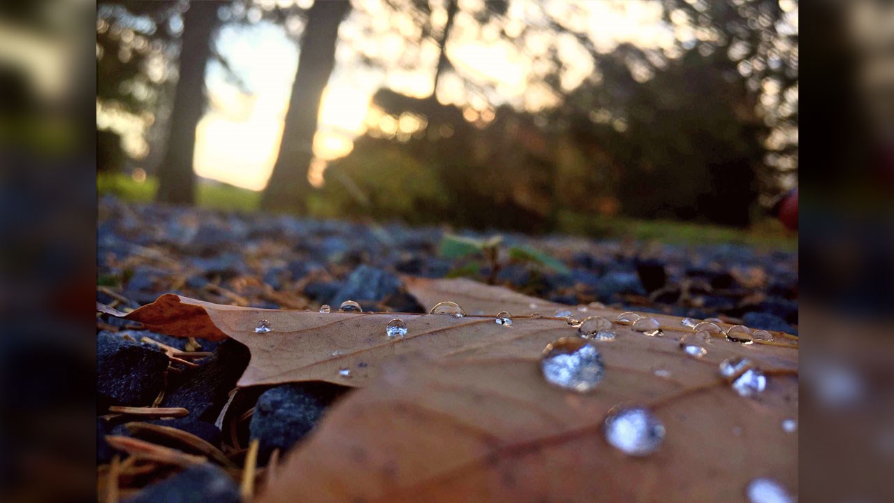 Immortaliser les beautés de l'automne : les photos de nos lecteurs