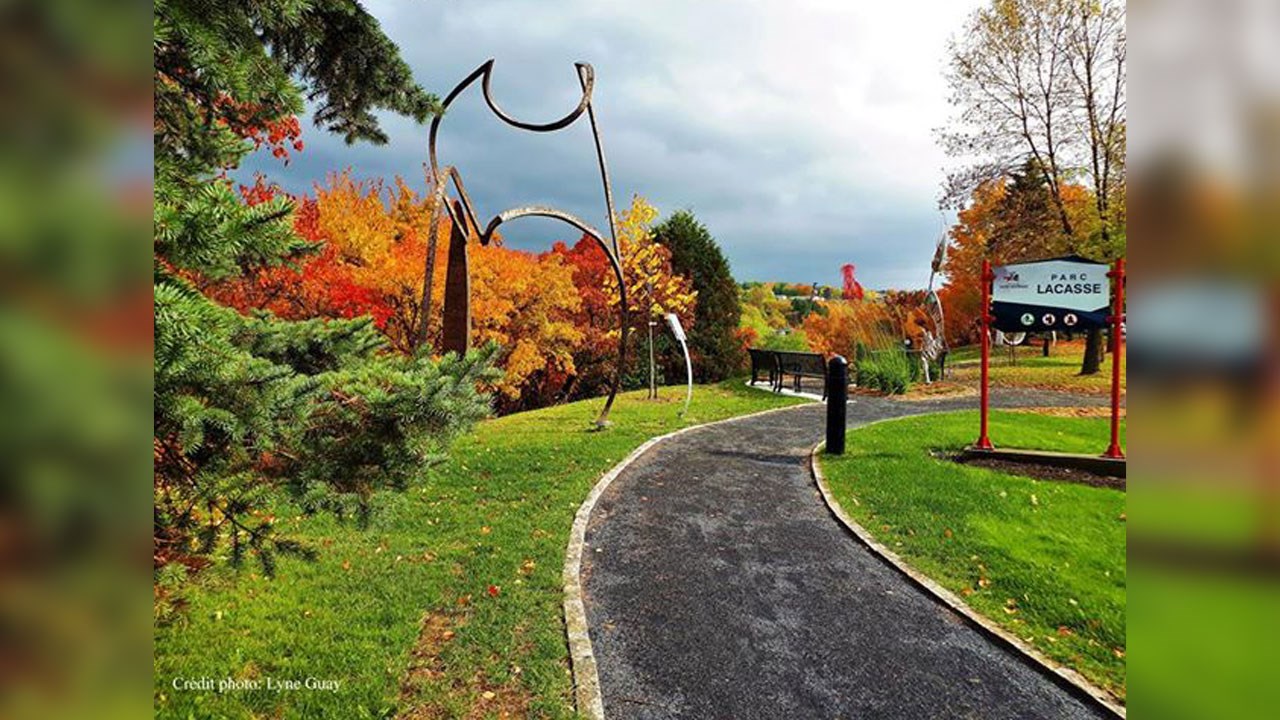 Immortaliser les beautés de l'automne : les photos de nos lecteurs