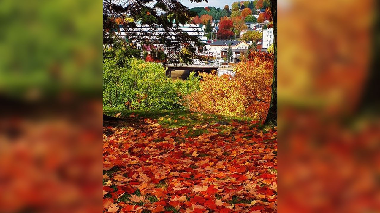 Immortaliser les beautés de l'automne : les photos de nos lecteurs