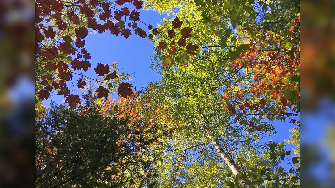 Immortaliser les beautés de l'automne : les photos de nos lecteurs