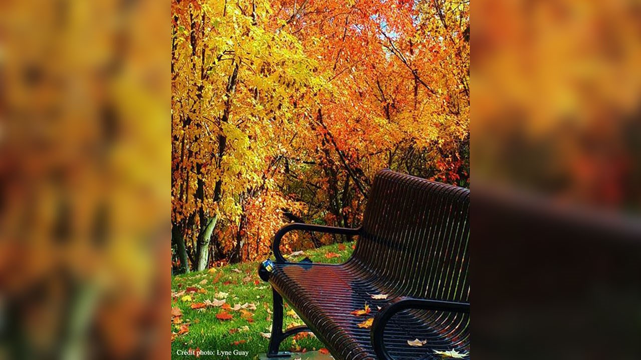 Immortaliser les beautés de l'automne : les photos de nos lecteurs