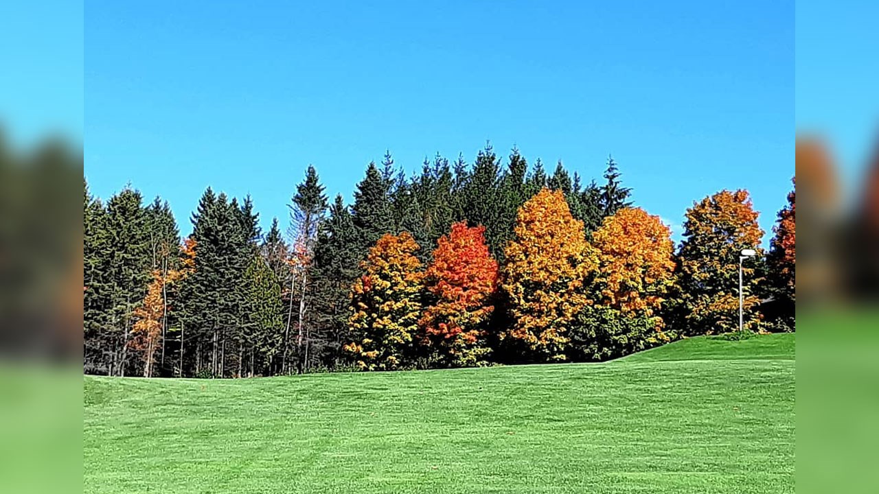 Immortaliser les beautés de l'automne : les photos de nos lecteurs