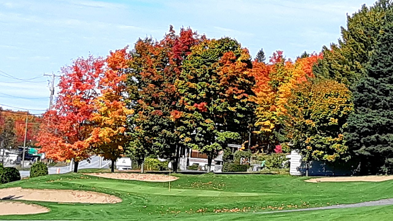Immortaliser les beautés de l'automne : les photos de nos lecteurs